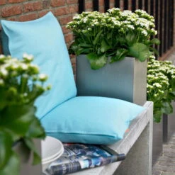 Kalanchoe 'Calandiva'®, Weiß, Topf-Ø 12 Cm, Höhe Ca. 27,5 Cm, 6er-Set 13 Kalanchoe 'Calandiva'®, Weiß, Topf-Ø 12 Cm, Höhe Ca. 27,5 Cm, 6er-Set -Die grüne Ecke 0210350168 Kalanchoe Cal weiss2