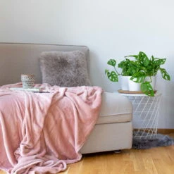 Monstera Adansonii Mit Keramiktopf Weiß, Topf-Ø 12 Cm, Höhe Ca. 25 Cm, 3er-Set -Die grüne Ecke 0220350047 Monstera adansonii in Topf Dallas weiss 3er Set Monstera Dallas 22