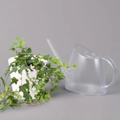 Hedera Helix In Keramiktopf Dallas Weiß, Topf-Ø 12/13 Cm -Die grüne Ecke 0220650241 Hedera gruen in Topf Dallas weiss 3 1