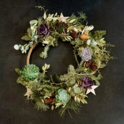 Schnittecheverien-Mix, Ø 12 Cm, 4er-Set -Die grüne Ecke 0250103364 Echeveria Mix 7 10cm in DIY Box 5 117175 2