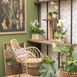 Phalaenopsis, Weißtöne, 2 Rispen, Topf-Ø 9 Cm, Höhe Ca. 30 Cm -Die grüne Ecke 0290100048 3