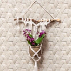 Phalaenopsis, Lilatöne, 3 Rispen, Topf-Ø 9cm, Mit Keramikübertopf, Höhe Ca. 30cm -Die grüne Ecke 0290100053