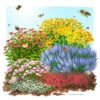 Insektenfreundliches Stauden Set, 18 Pflanzen Für 3 M², Bunt -Die grüne Ecke 0319100525 Insektengarten Stauden Mix 1Set 18 Pflanzen fuer 3m 1 124108