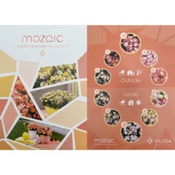 Kalanchoe 'Mozaic', Wechselfarbig, Topf-Ø 12 Cm, Höhe Ca. 22 Cm, 6er-Set -Die grüne Ecke 0610103650 Outdoor Kalanchoe Mozaic wechselfarbig 6er Set 12 113797