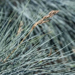 Mixtopf 'Silberstruktur', 3er-Set, Grau-silber, Topf 13 Cm Ø -Die grüne Ecke 0610180261 0610180262 Mixtopf Mixschale Silberstruktur Festuca 95077