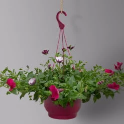 Gemischte Sommerblumen-Ampel, Farbe/n Nach Verfügbarkeit, Ampeltopf-Ø 25/27 Cm -Die grüne Ecke 0619140037 BB Mix Ampel T27 pink lila 2 126075