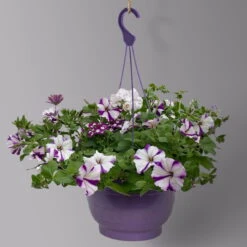 Gemischte Sommerblumen-Ampel, Farbe/n Nach Verfügbarkeit, Ampeltopf-Ø 25/27 Cm -Die grüne Ecke 0619140037 BB Mix Ampel T27 weiss lila 2 126079