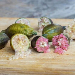 Fingerlimette, Topf-Ø 20 Cm, Höhe Ca.60 Cm -Die grüne Ecke 0630100735 Citrus australasica Stamm T20 H60 70 WS 4 98316