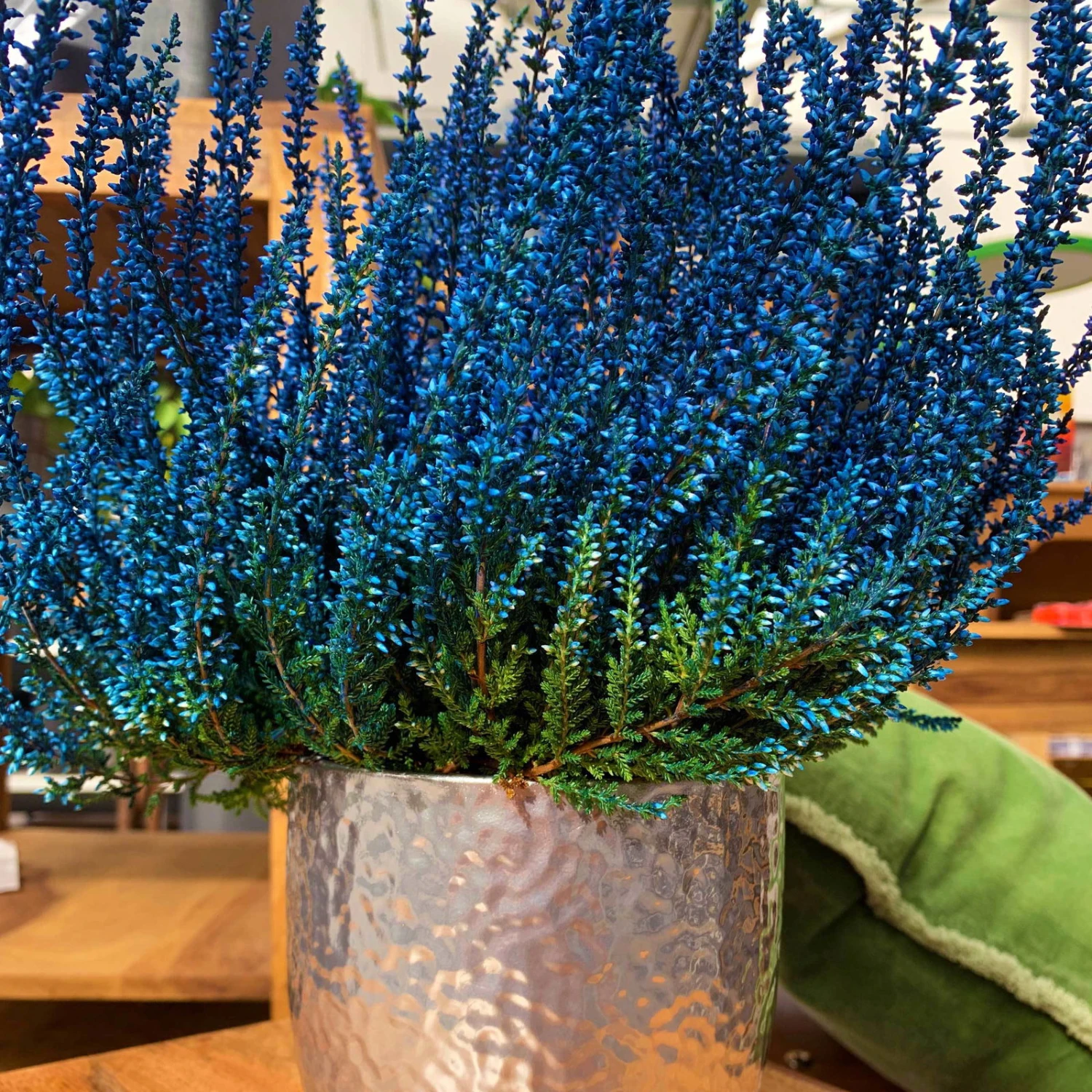 Knospenheide 'Picasso' Gefärbt, Farben Zufällig, Topf-Ø 12 Cm, 6er-Set 4 Knospenheide 'Picasso' Gefärbt, Farben Zufällig, Topf-Ø 12 Cm, 6er-Set – Bild 2