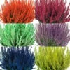 Knospenheide 'Picasso' Gefärbt, Farben Zufällig, Topf-Ø 12 Cm, 6er-Set -Die grüne Ecke 0650100522 Calluna vulgaris gefaerbt T12 Mix 114844