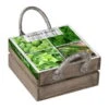 Küchenkräuterkiste Mit Saatgut & Anzuchterde -Die grüne Ecke 0710201026 4 in einer Kiste Kuechenkraeuter 4 Tueten mit Kuechenkraeuter 1 115758