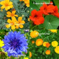 Blumensamen-Set Gourmet Blumen, Essbar, Bienenfreundlich, Dekorativ 11 Blumensamen-Set Gourmet Blumen, Essbar, Bienenfreundlich, Dekorativ -Die grüne Ecke 0710403583 Blumensamen Set Gourmet Blumen 4essbare Sorten mit organ Duenger 5 60480