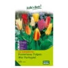 XXL Fosteriana Tulpen Mix Papiertüte 100 Blumenzwiebeln -Die grüne Ecke 0720100720 kb xxl fosteriana tulpen mix papierturte weiss rot lila gelb orange gr 11 12 100 st 1 76084