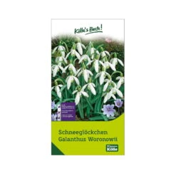 Schneeglöckchen, Galanthus Woronowii, 50 Blumenzwiebeln -Die grüne Ecke 0720500090 KB Schneegloeckchen Galanthus Woronowii weiss 114227