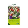 Überraschungsmischung Bauerngarten 75 Blumenzwiebeln -Die grüne Ecke 0720800123 kb ueberraschungsmischung bauerngarten 114240