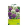 XXL Allium Mischung 'Riesenlauch Schönheiten', Weiß, Lila, 5 Blumenzwiebeln -Die grüne Ecke 0720800174 KB Kollektion Riesenlauch Schoenheiten Allium Mischung XXL 1 94238