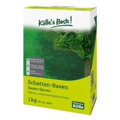 Kölle's Beste Schattenrasen Mit Lägerrispe Poa Supina, 1 Kg