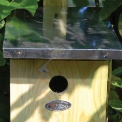 Nistkasten Kohlmeisen -Die grüne Ecke 0910150085 Nistkasten Kohlmeisen 2 web 42848