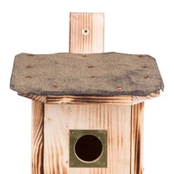 Kölle Nistkasten Für Stare Aus Fichtenholz Mit Dachpappe 5 Kölle Nistkasten Für Stare Aus Fichtenholz Mit Dachpappe -Die grüne Ecke 0910150169 Koelle Nistkasten fuer Stare Einflugloch zoom 117807