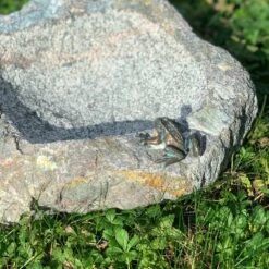 Rottenecker Vogeltränke Mit Frosch & Eidechse, Granit/Bronze, 10 X 25 X 20 Cm -Die grüne Ecke 0910170050 Vogeltraenke mini FroschEidechse Naturstein granit zoom 117876
