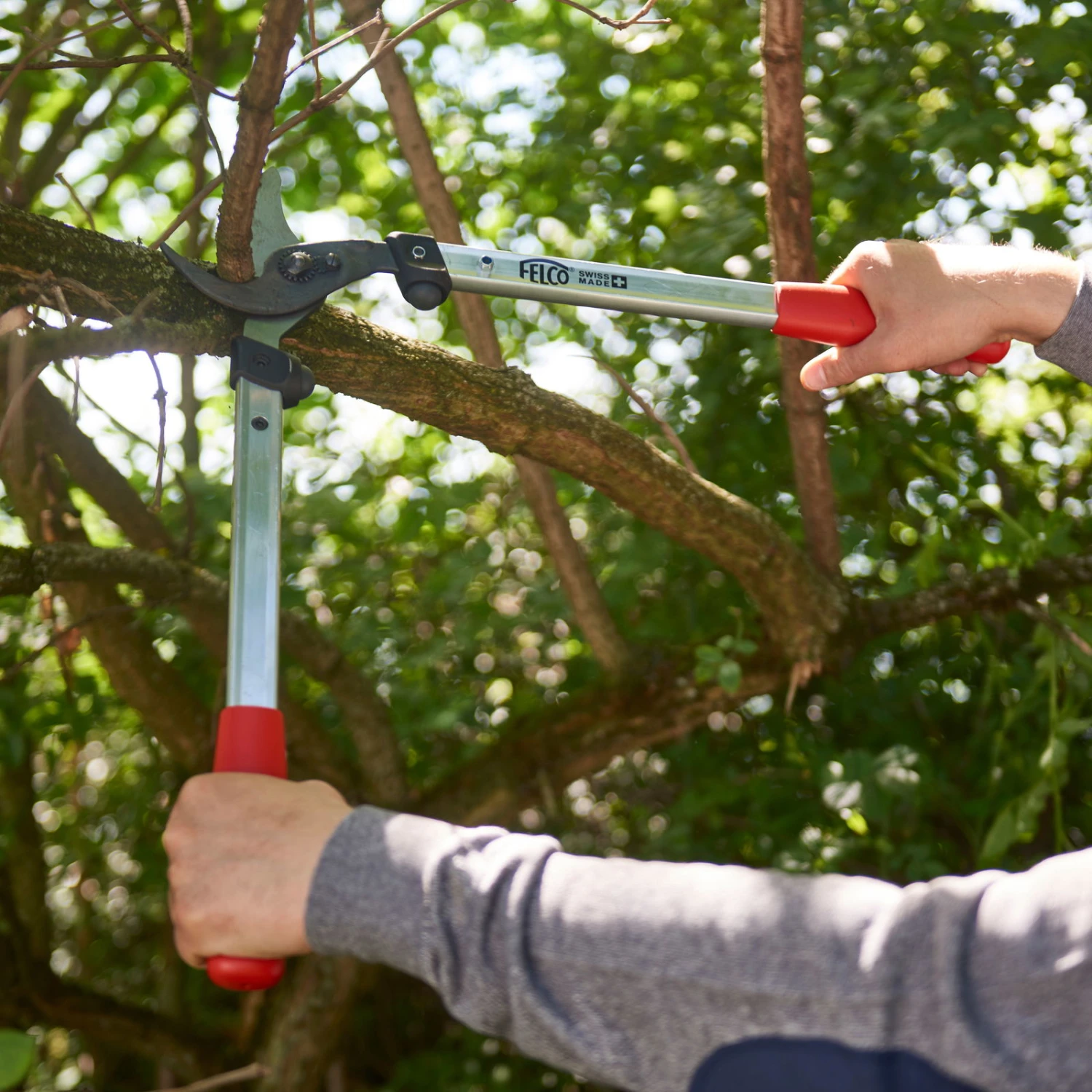 Felco Baumschere, Zweihandschere Aus Aluminium 3 Felco Baumschere, Zweihandschere Aus Aluminium