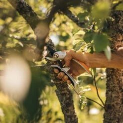 Fiskars Schere 'Plus PowerLever', Schwarz/orange -Die grüne Ecke 0920300707 Plus PowerLever Metall Bypass Gartenschere 3 106801