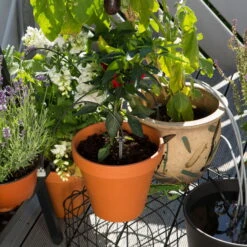 Gardena Urlaubsbewässerung City-Gardening, Bis Zu 36 Töpfe, Transformator, Zeitschaltuhr -Die grüne Ecke 0930100238 city Gardening Urlaubsbewaesserung fuer bis zu 36 Topfpflanzen 3 61508