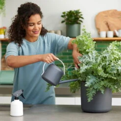 Gießkanne B.for Soft, Anthrazit, 1,7 Liter