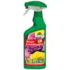 Neudorff Spruzit® AF Rosenschädlingsfrei, 500 Ml -Die grüne Ecke 0950200581 Spruzit AF RosenSchaedlingsFrei 500ml neueVerp 48974
