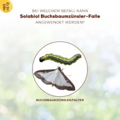 Solabiol Buchsbaumzünsler-Falle, Ausreichend Für Bis Zu 180 M² -Die grüne Ecke 0950200723 Buchsbaumzuensler Falle fuer bis zu 180qm Flaeche 1 107232