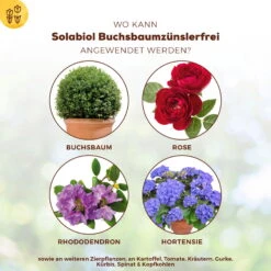 Solabiol Buchsbaumzünsler-Schutz, 50 Ml -Die grüne Ecke 0950200746 Solabiol Buchsbaumzuensler Schaedlingsfrei 50ml 1 107236