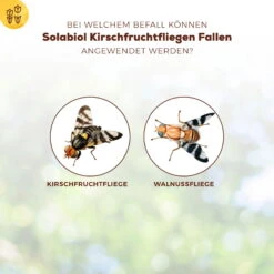 Solabiol Kirschfruchtfliegenfalle, 5er-Pack 9 Solabiol Kirschfruchtfliegenfalle, 5er-Pack -Die grüne Ecke 0950200760 Solabiol Kirschfruchtfliegenfalle 5Stueck 1 107242