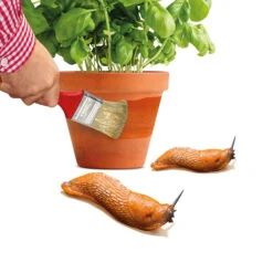 Schnexagon, Anstrich Gegen Schnecken, 375 Ml -Die grüne Ecke 0950300991 Schnexagon 375ml 1 94152