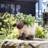 Pflanztopf 'Shelly Sheep', Ca. 26 X 35 X 15 Cm 1 Pflanztopf 'Shelly Sheep', Ca. 26 X 35 X 15 Cm -Die grüne Ecke 0980306618 Shelly Sheep 5 99250