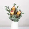 Blumenbund Protea & Eukalyptus, Inkl. Gratis Grußkarte -Die grüne Ecke 1025700019 Strauss Protea Grandiflora 1 1 101680