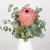 Blumenbund Protea Barbigera Mit Eukalyptus Und Brunia, Inkl. Gratis Grußkarte 1 Blumenbund Protea Barbigera Mit Eukalyptus Und Brunia, Inkl. Gratis Grußkarte -Die grüne Ecke 1025700025 Strauss Protea Barbi Brun 1 101700