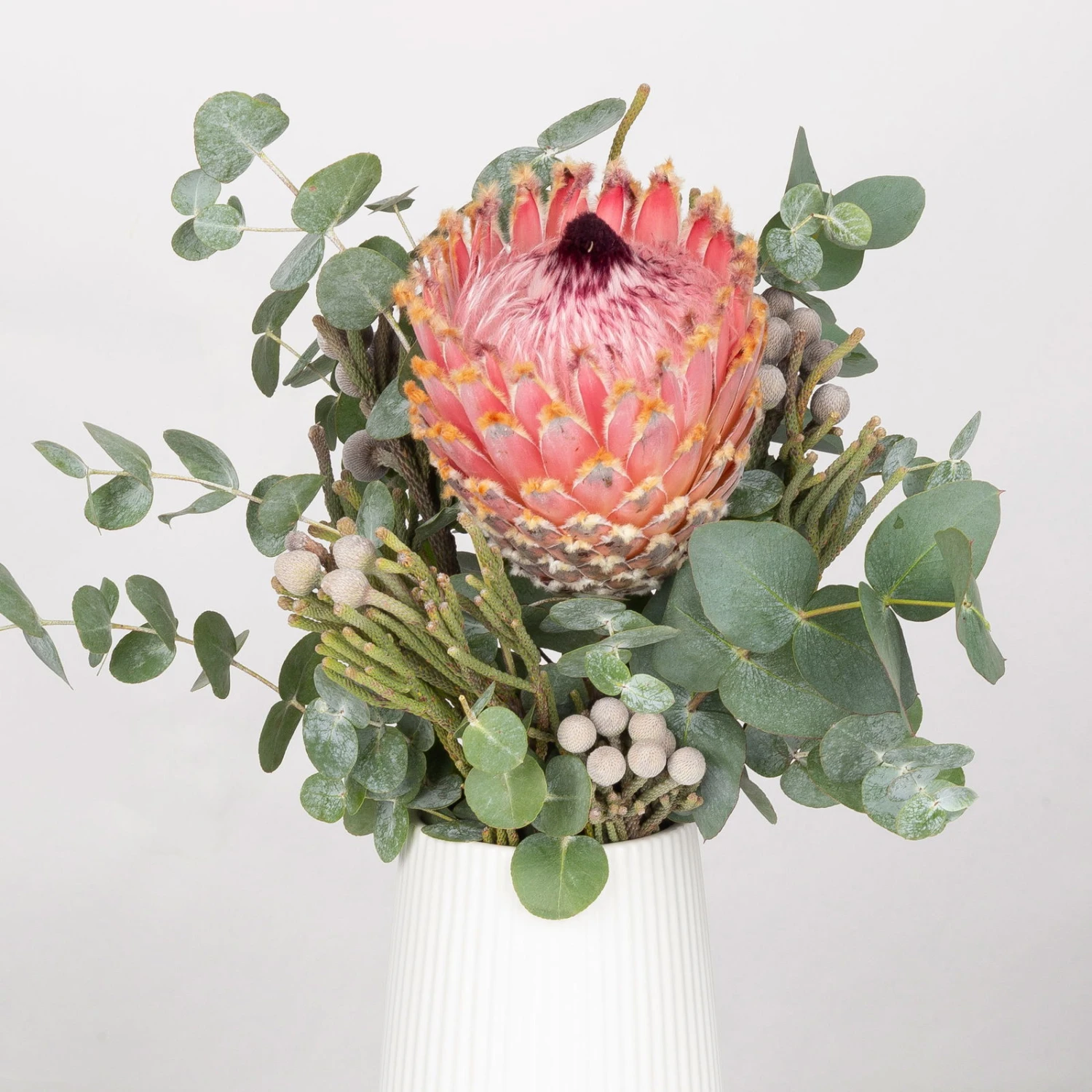Blumenbund Protea Barbigera Mit Eukalyptus Und Brunia, Inkl. Gratis Grußkarte 3 Blumenbund Protea Barbigera Mit Eukalyptus Und Brunia, Inkl. Gratis Grußkarte