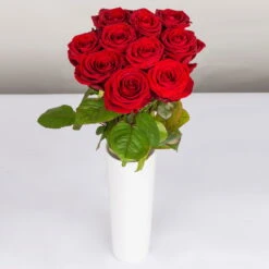 Blumenbund Mit Rosen 'Red Naomi', 10er-Bund, Rot, Inkl. Gratis Grußkarte -Die grüne Ecke 1045500002 Rose Red Naomi 10er Bund 60cm 2 85333