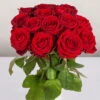 Blumenbund Mit Rosen 'Red Naomi', 15er-Bund, Rot, Inkl. Gratis Grußkarte -Die grüne Ecke 1045500003 Rose Red Naomi 15er Bund 60cm 2 1 d 100188