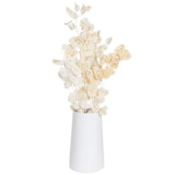 Silbertaler, Getrocknet, Lunaria, Ca. 80 Cm Lang -Die grüne Ecke 1055300008 Lunaria weiss mit Tuete 1 83201