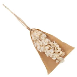 Silbertaler, Getrocknet, Lunaria, Ca. 80 Cm Lang -Die grüne Ecke 1055300008 Lunaria weiss mit Tuete 83200