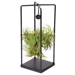 Tillandsia 'Silver Ball' In Eckigem Metallgestell, 17cm Ø -Die grüne Ecke 1530102422 Tillandsia Cube Silver Ball eckig H30cm 5 86563