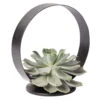 Sukkulente Im Metallring, Höhe Ca. 22 Cm