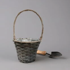 Chrysantheme Bronze Im Henkelkorb, Topf-Ø 19 Cm -Die grüne Ecke 1530200290 291 292 293 294 Chrysanthemum im Henkelkorb 19 21 1 126587