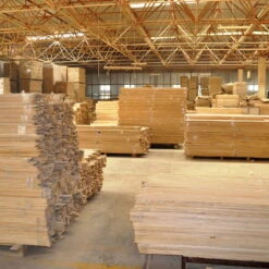 Bio Blauglockenbaum, Co2-Klimabaum 'NordMax21‘ ®, Topf-Ø 15 Cm -Die grüne Ecke 1615100163 Blu Klimabaum 4 121718