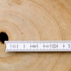 Bio Blauglockenbaum, Co2-Klimabaum 'NordMax21‘ ®, Topf-Ø 15 Cm -Die grüne Ecke 1615100163 Blu Klimabaum 5 121717