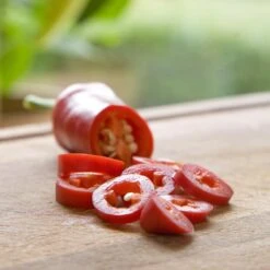 Blu Bio Chilipflanze Zwerg-Chili, Topf-Ø 12 Cm, 3er Set -Die grüne Ecke 1620330132 Blu Bio Zwerg Chili mit Fruechte T12 3er Set extra scharf 2 124305