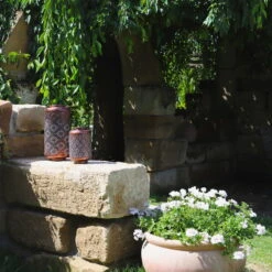 Kölle LED-Solarlaterne Adana, Gold Matt, Höhe 26 Cm, Ø 16 Cm -Die grüne Ecke 2950100472 2950100469 Adana 1 113714