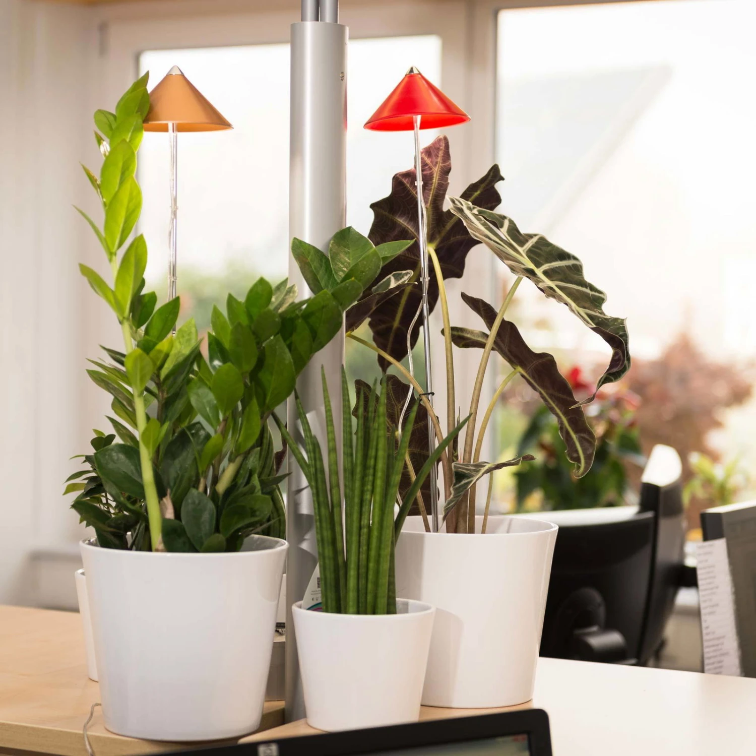 Sunlite Pflanzenlampe Kupfer, 7 Watt 7 Sunlite Pflanzenlampe Kupfer, 7 Watt – Bild 5