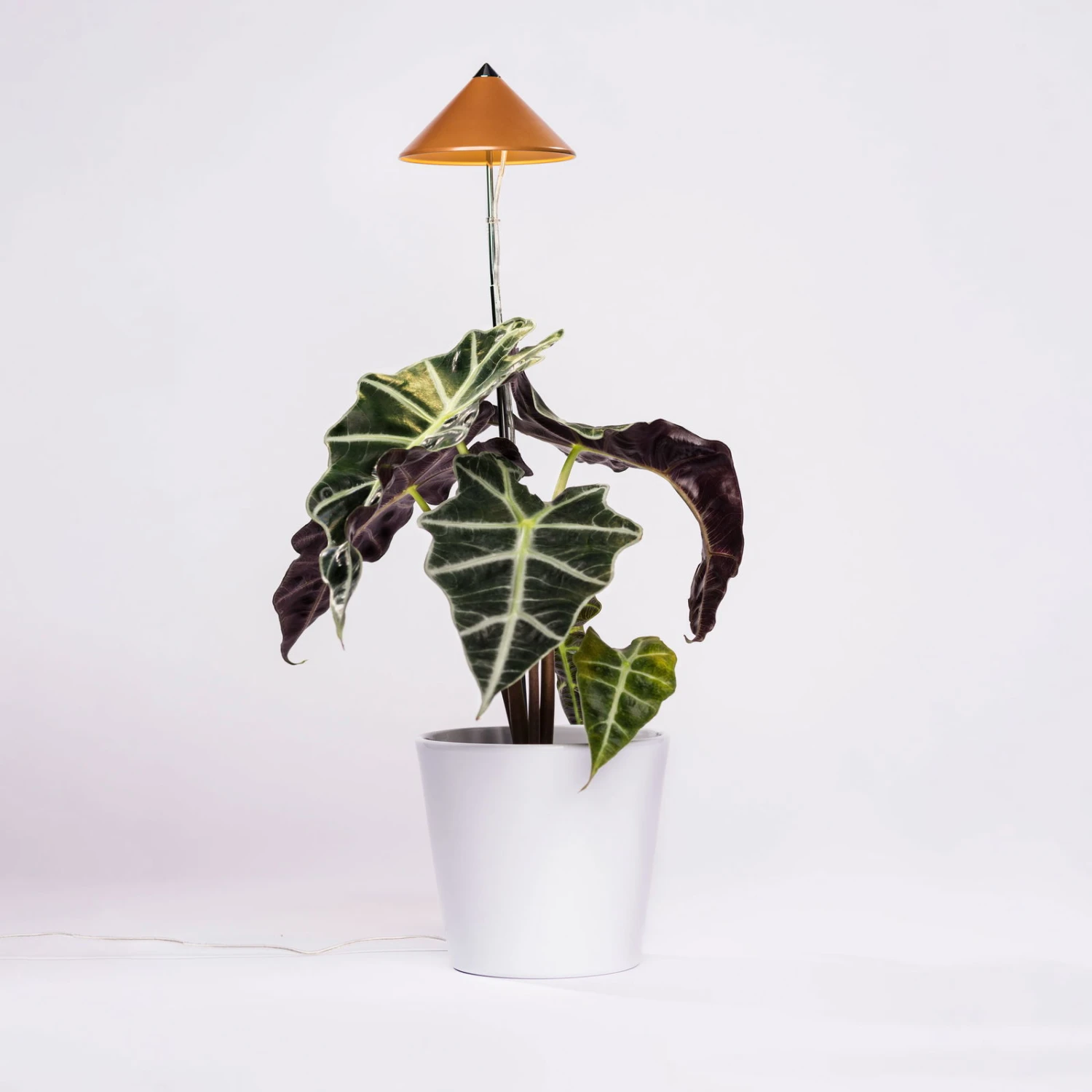 Sunlite Pflanzenlampe Kupfer, 7 Watt 4 Sunlite Pflanzenlampe Kupfer, 7 Watt – Bild 2